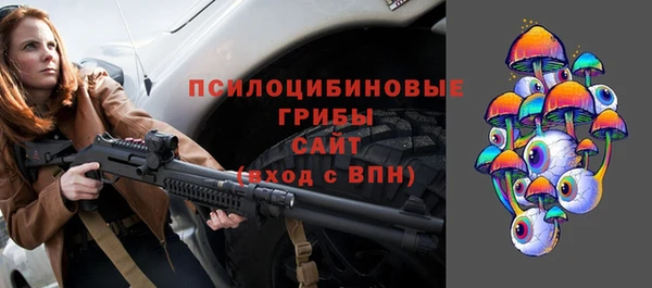 гидра Богородск
