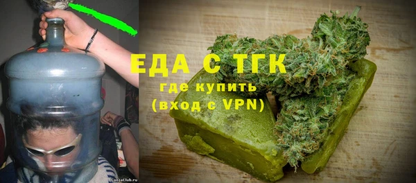 гидра Богородск