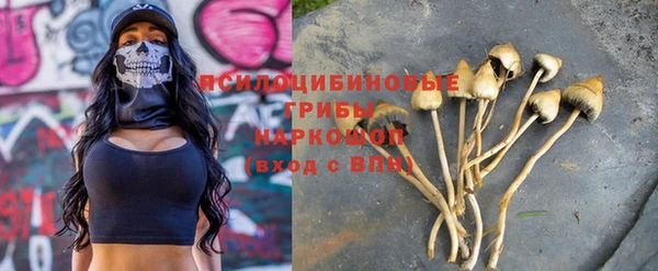 COCAINE Богородицк