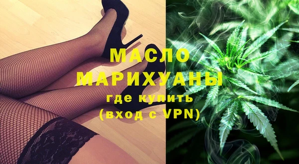 гидра Богородск