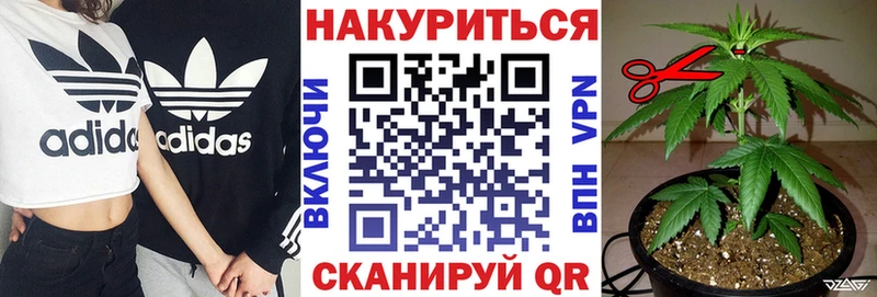Шишки марихуана Bruce Banner  где купить наркоту  Ува 